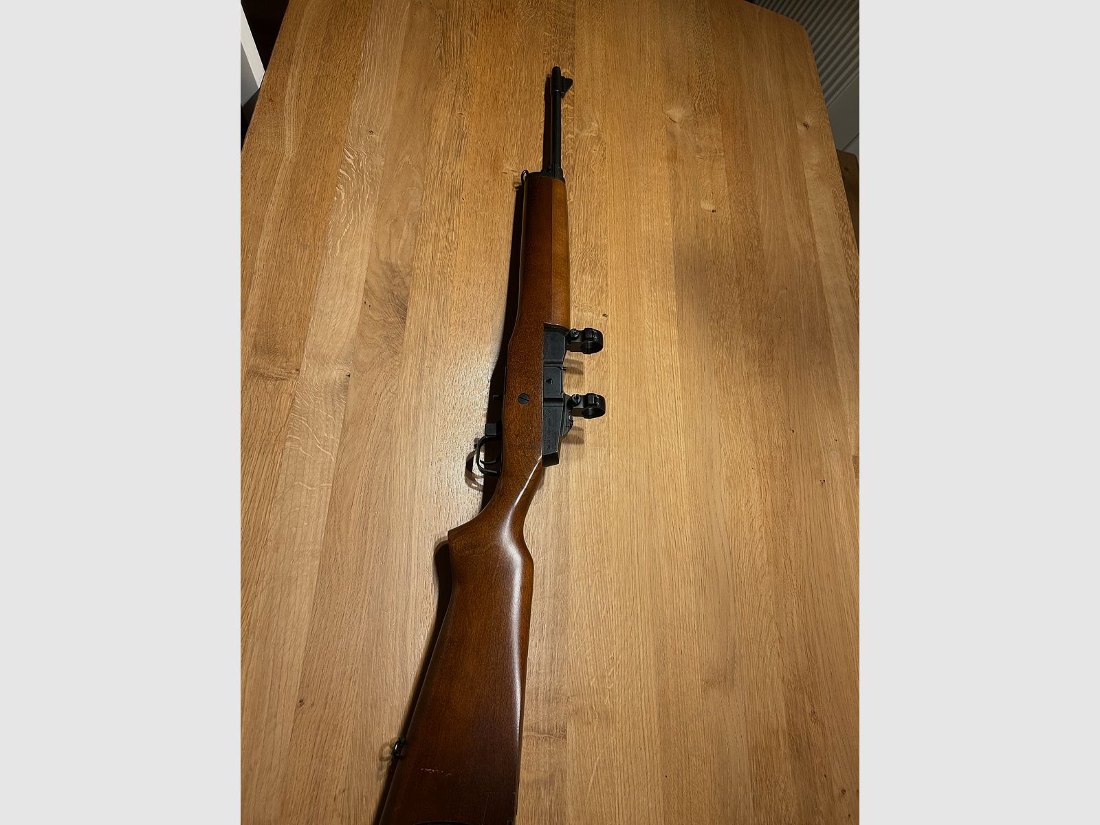 Ruger mini 14