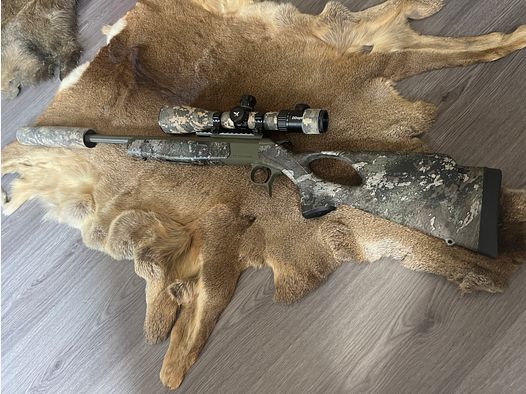 Bergara 223 Camo 