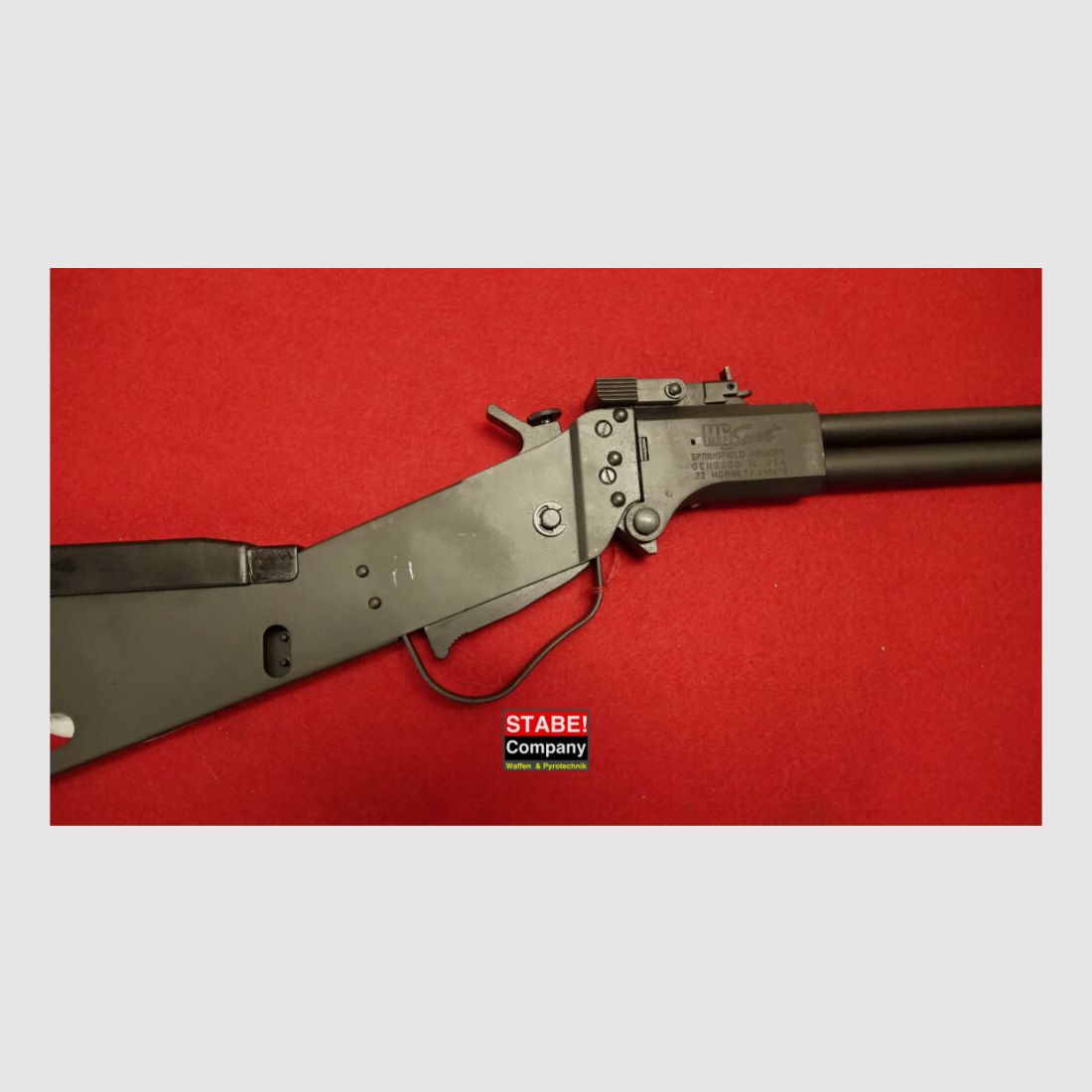 Springfield / CZ Scout M 6