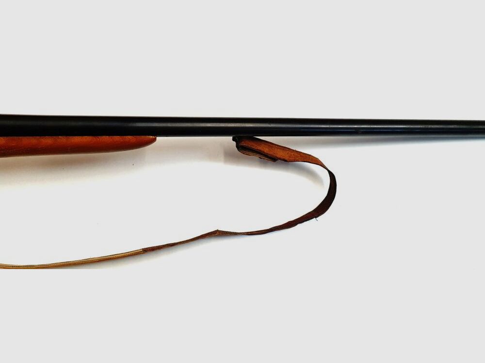 Carrero & Astelarra VANGUARD