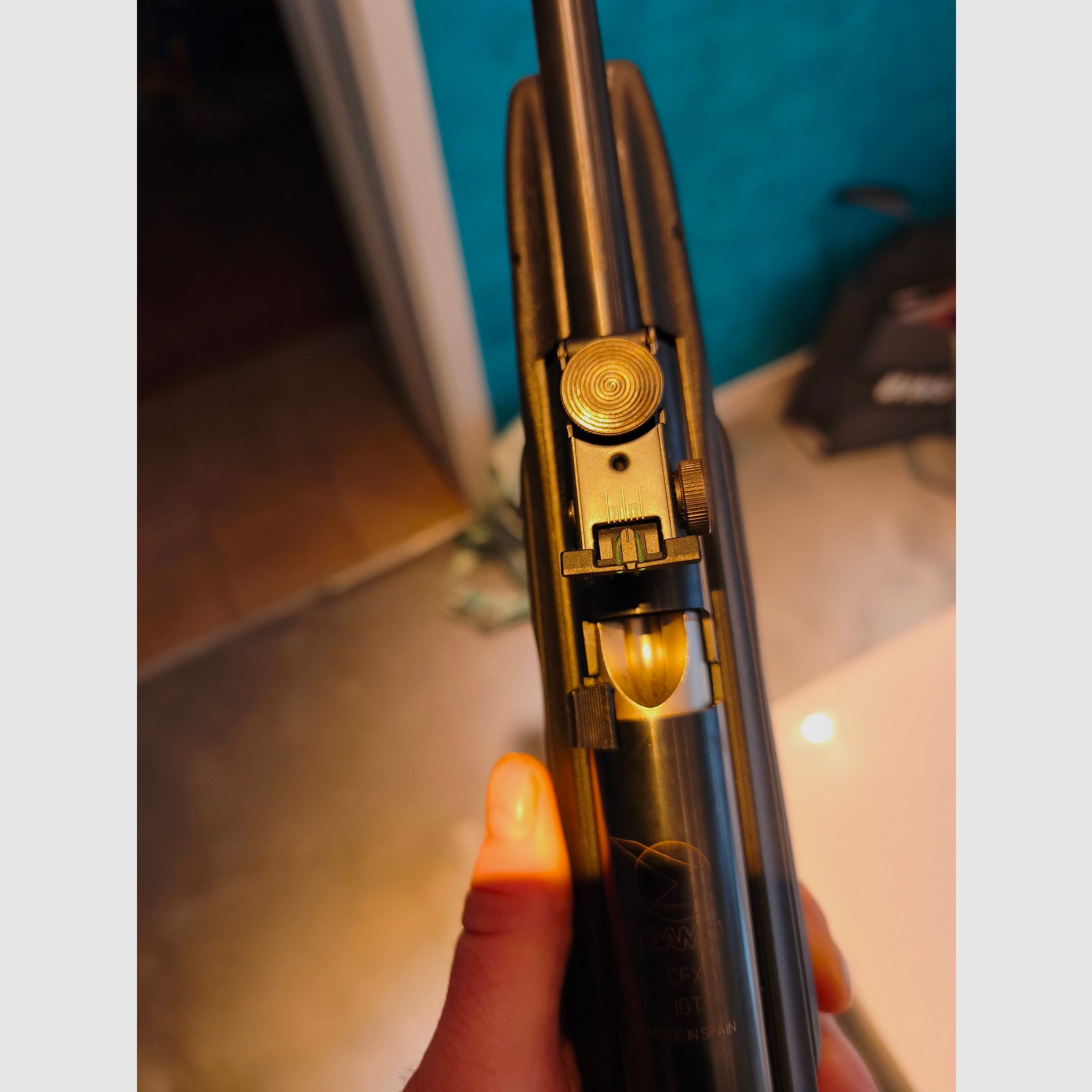 Carabina de aire comprimido calibre 5,5