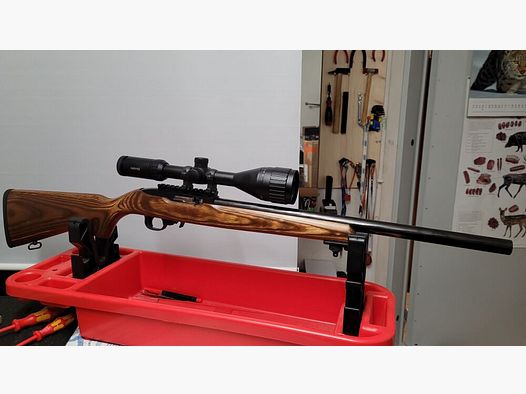 Ruger 10/22