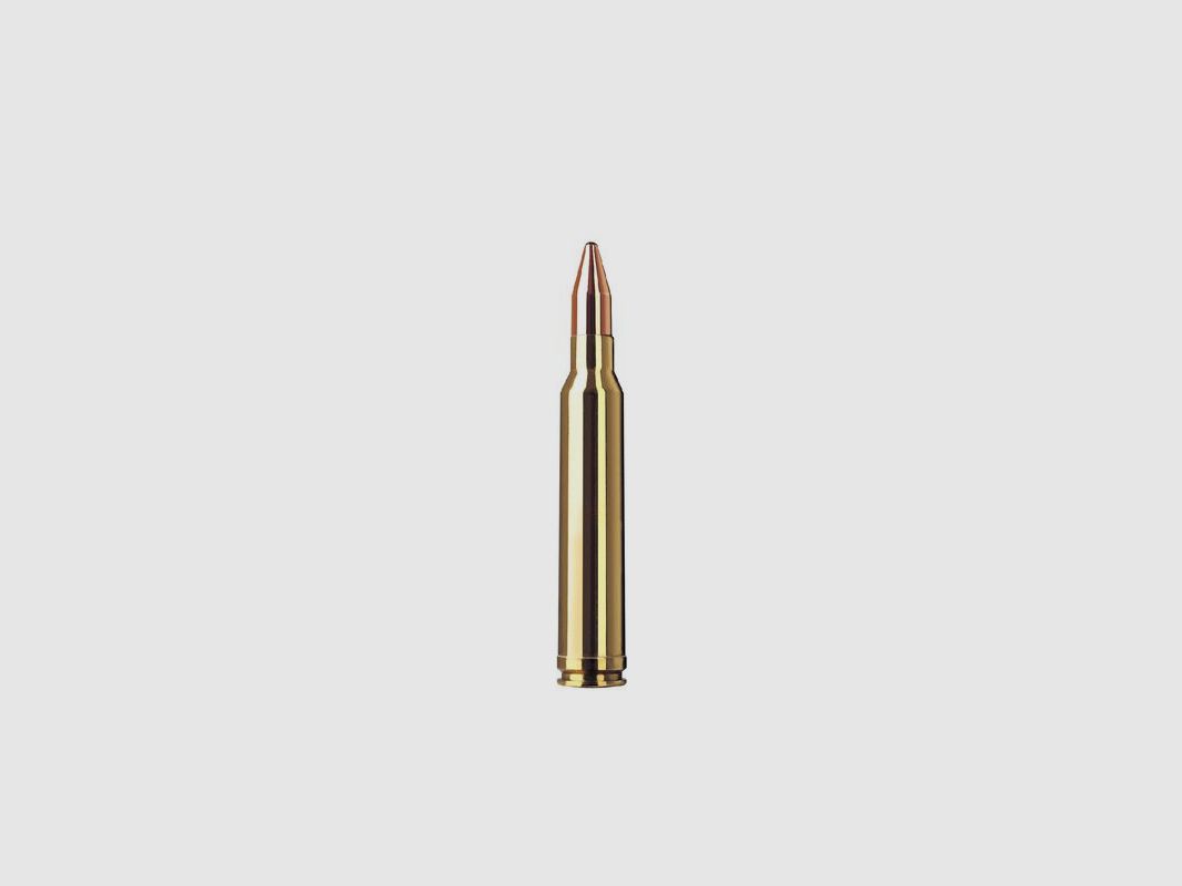 RWS .300 Win.Mag. KS 10.7g/165, image 4 of 6