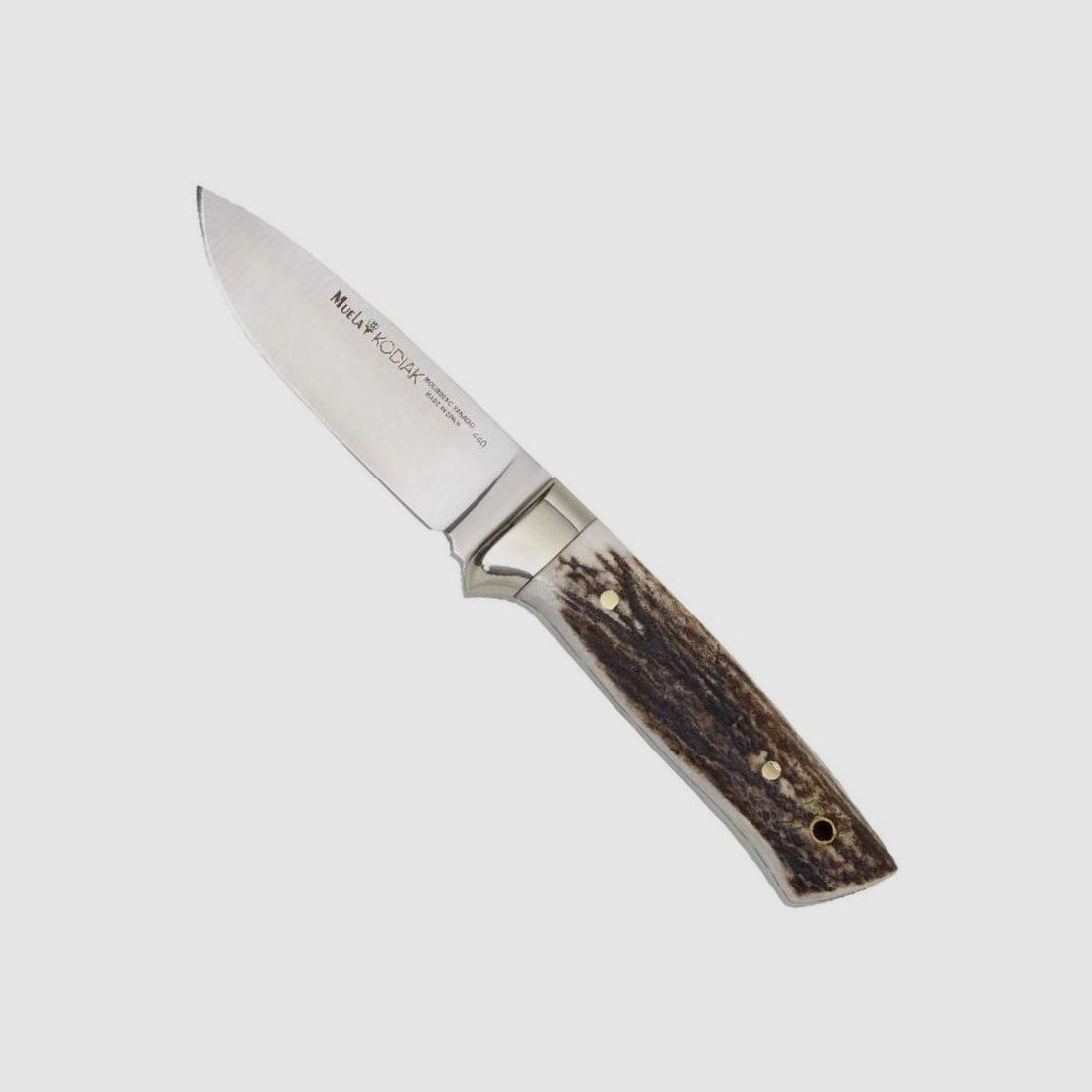 Muela Kodiak Hirschh.