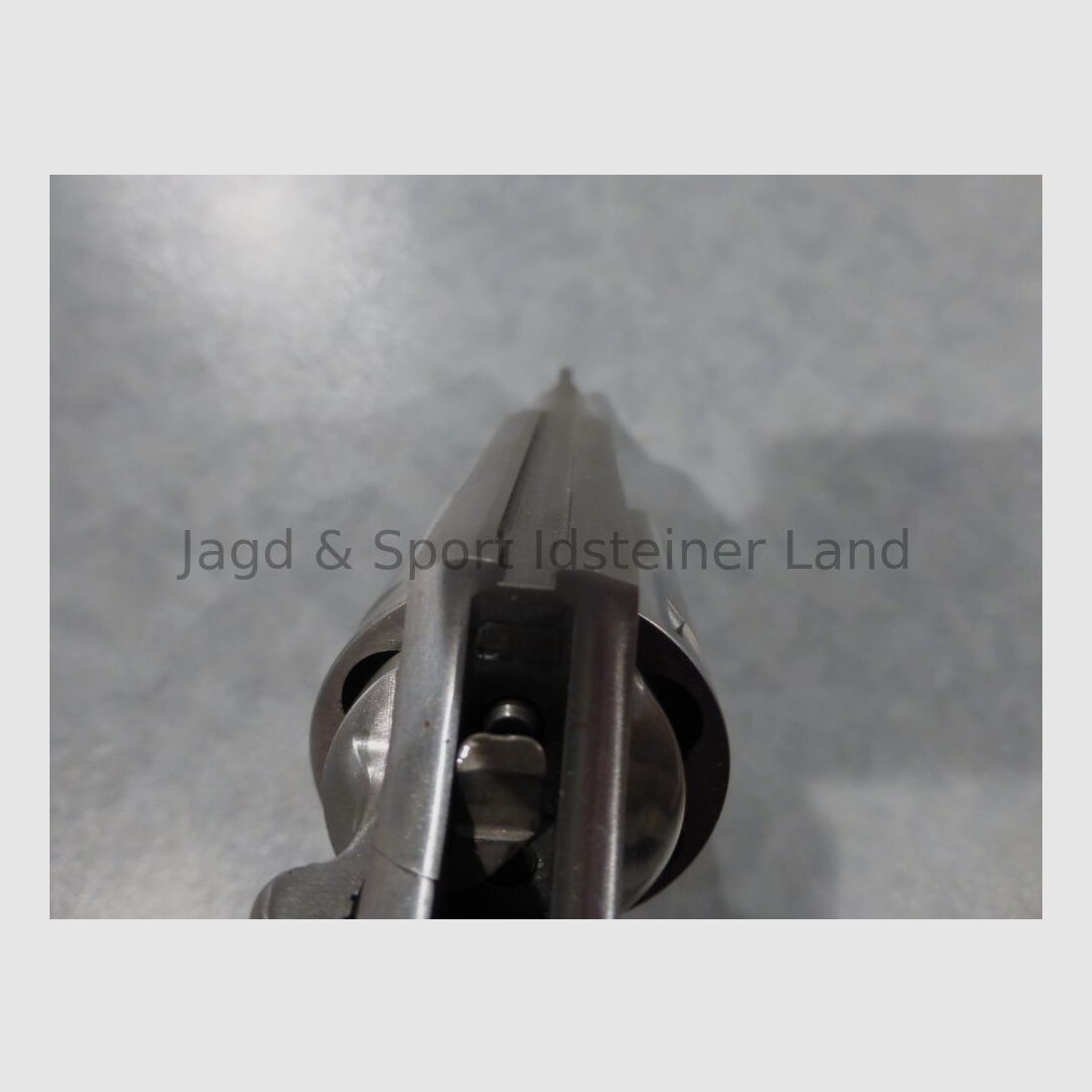 Colt Detective Special II