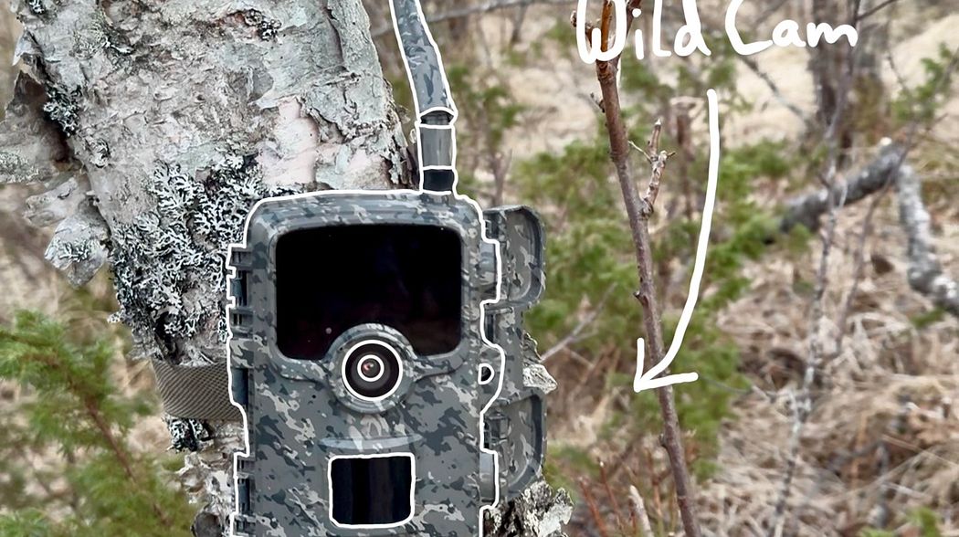 Jagdgefährte / MyHunt WildCam Wildkamera im Test