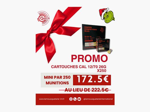 GECO Competition Slug Black 26 – Scatola da 250 cartucce NOËL Promo
