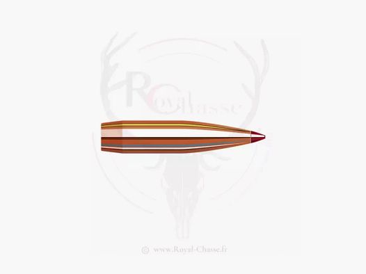 100 ogives Cal.30 D.308 174Grs ELD-VT HORNADY