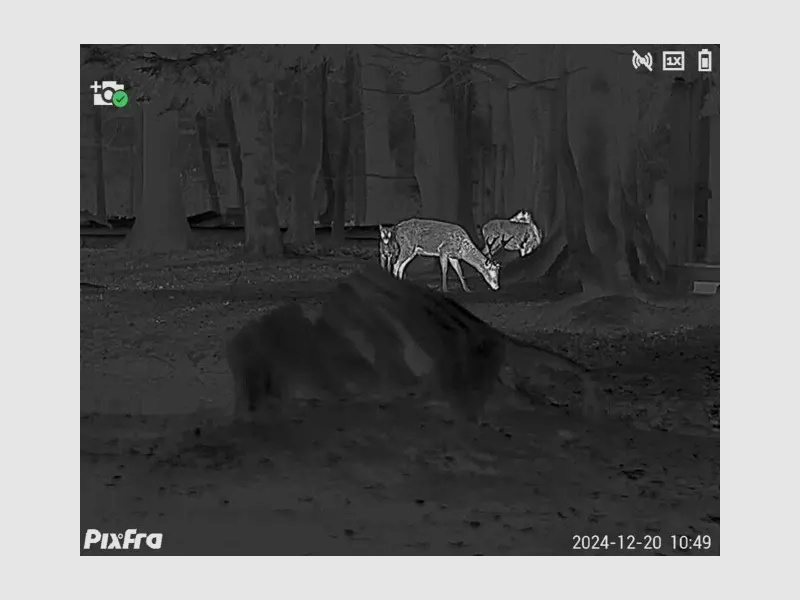 Pixfra Wärmebildmonokular Sirius S650D