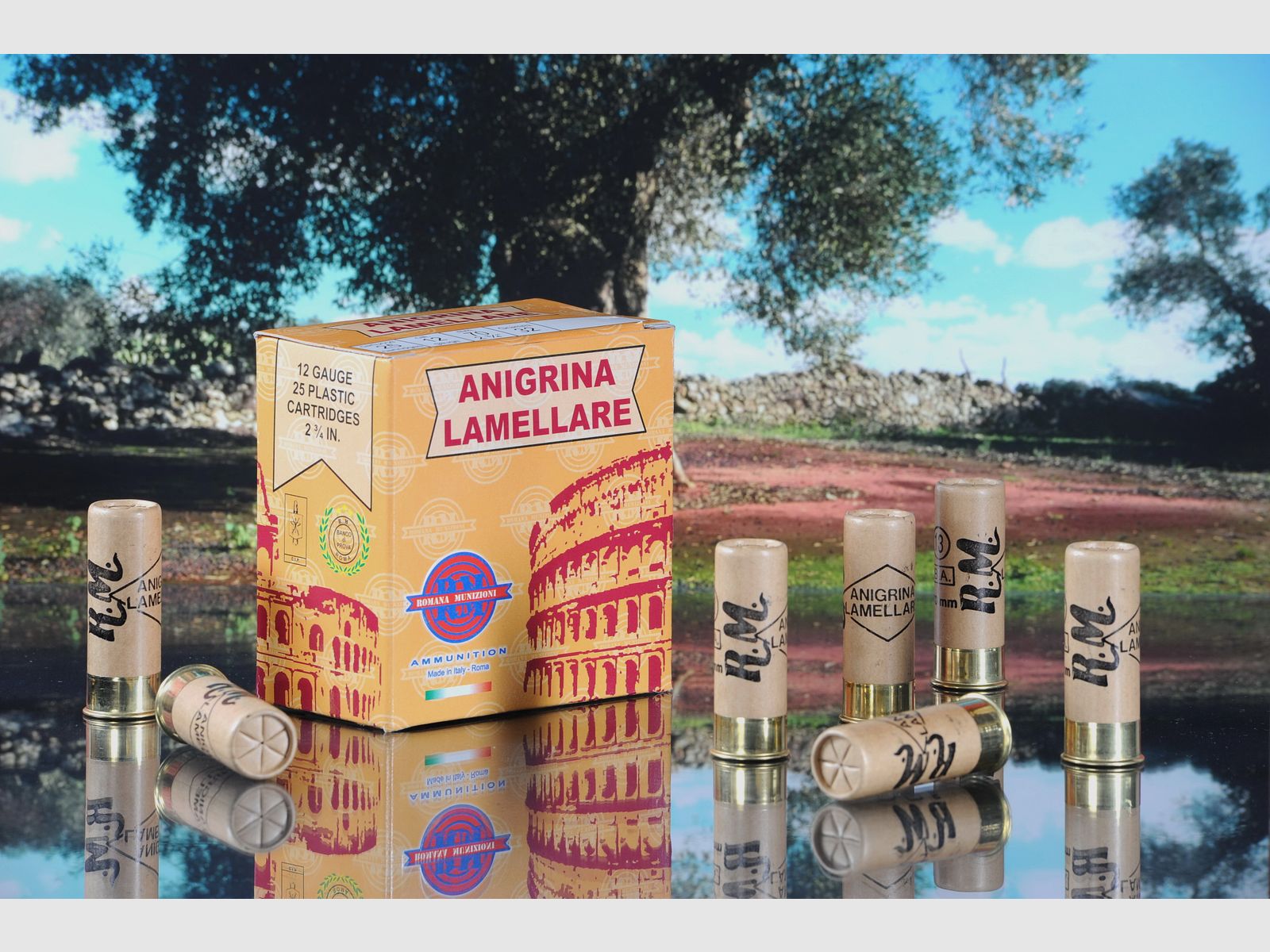 RM ANIGRINA CARTONE CALIBRO 12