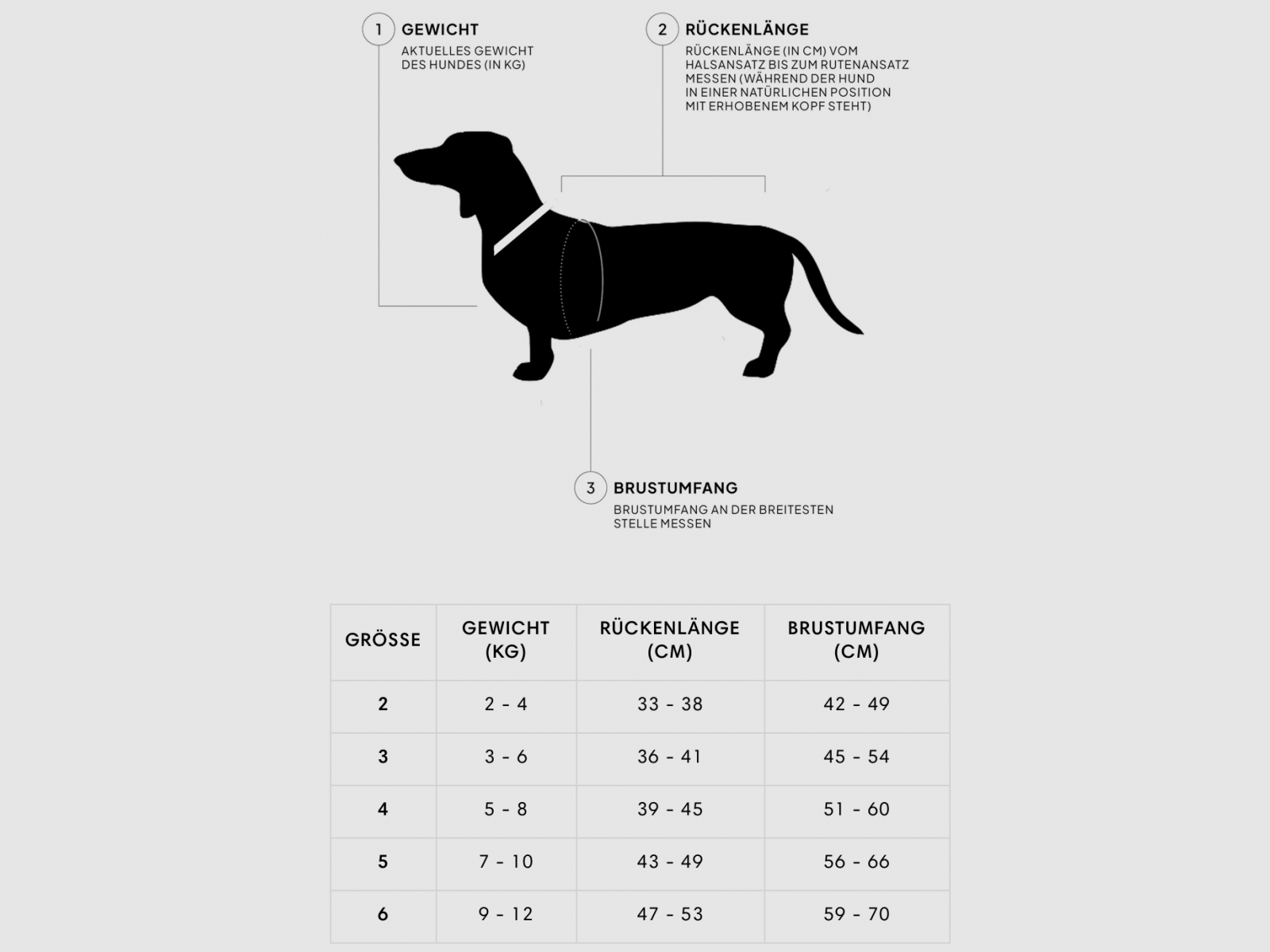 Hundemantel Dackel Brooklyn Tweed, Bild 12 von 12