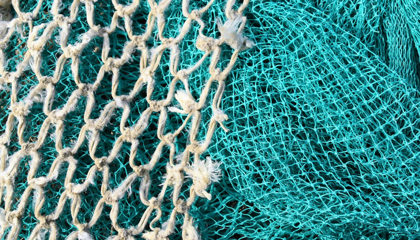 Gaff - Lo strumento indispensabile per il pescatore