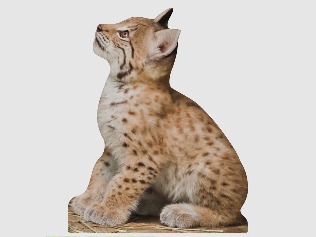 Stojak na zwierzęta Lynx Młode Zwierzę