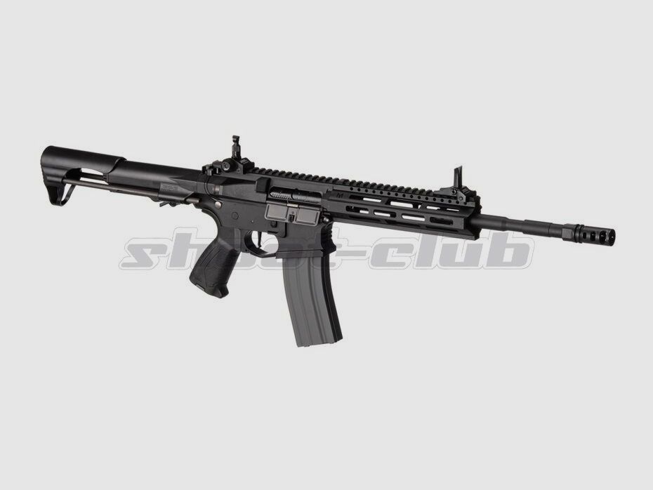 G&G Armament G&G CM16 Raider 2.0L