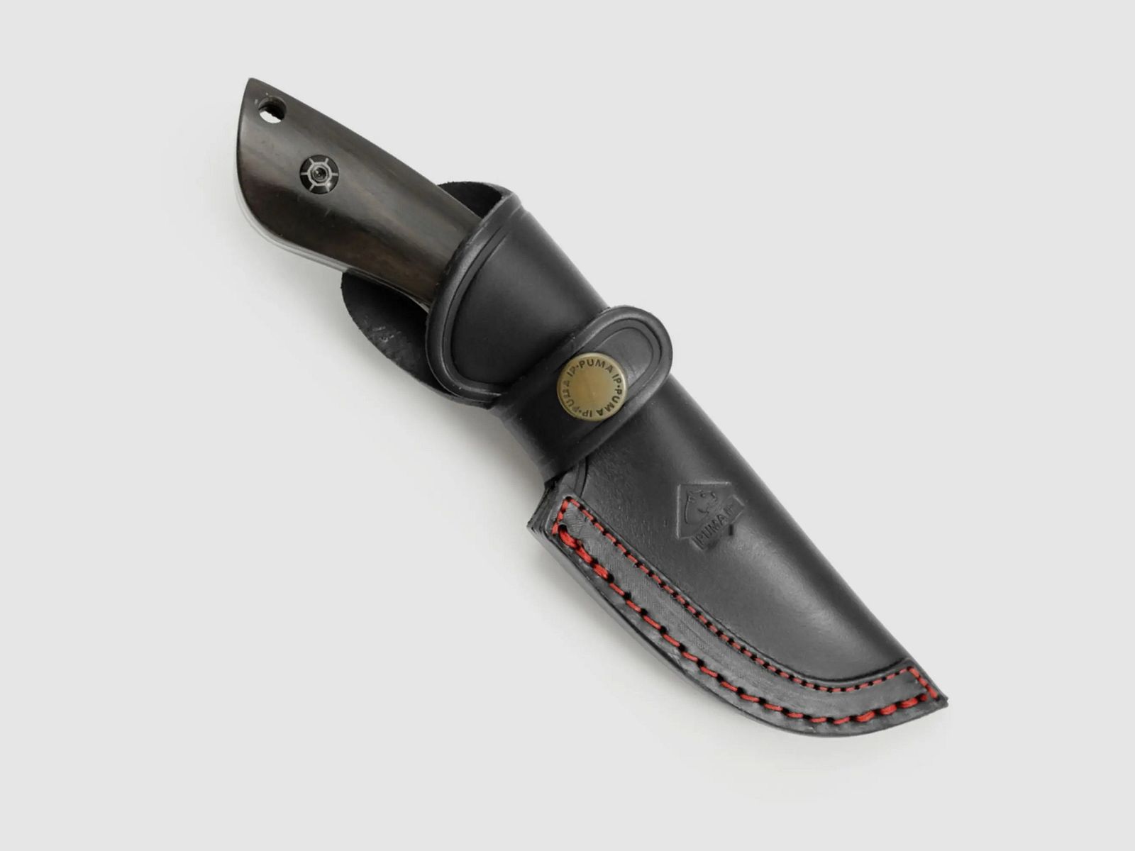 PUMA IP wildboar I, Ebenholz