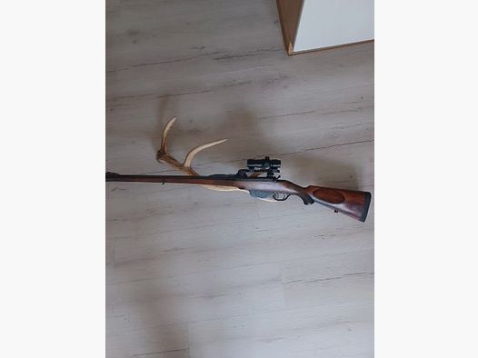 Büchse Steyr