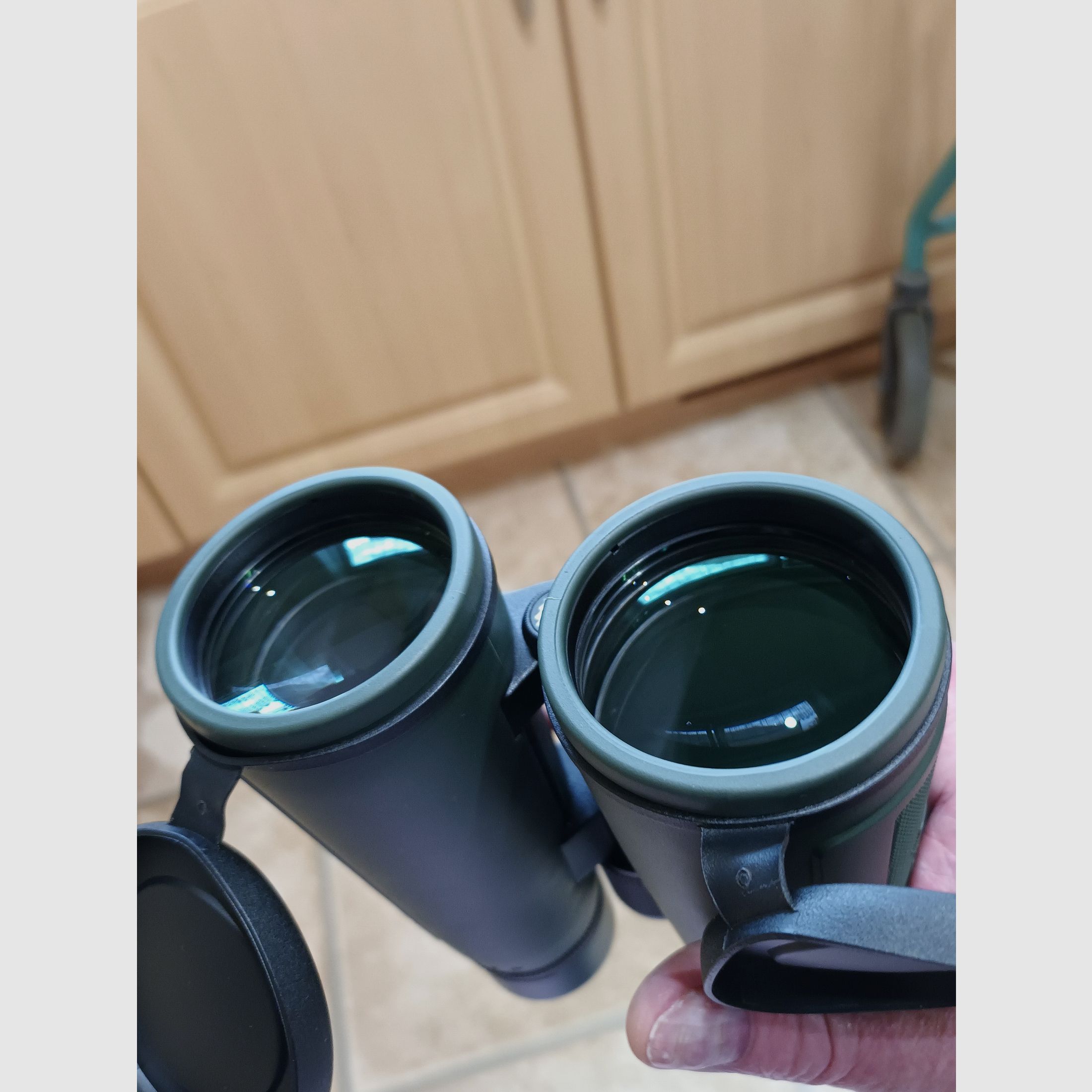 Fernglas  Professor Optiken Watzmann 8x56 HD