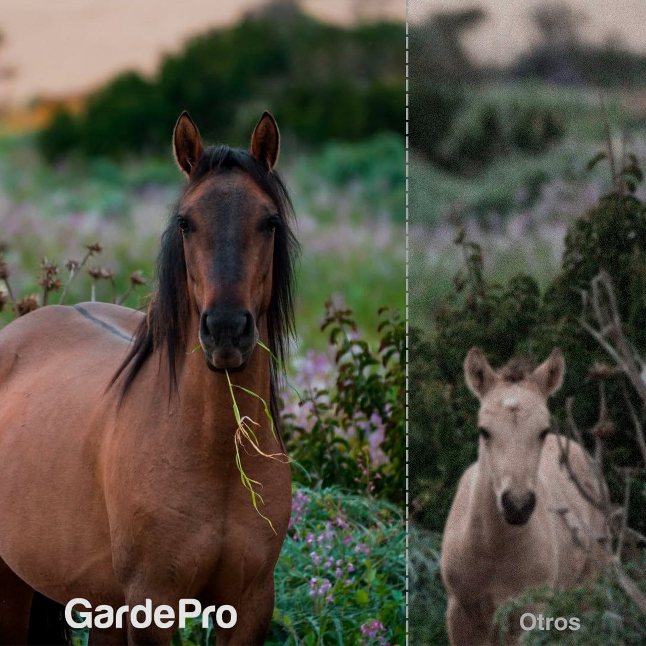 Wildkamera GardePro E5S, Bild 8 von 9