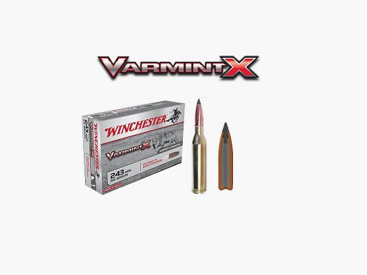 PACKUNG MIT 20 PATRONEN .243 WIN WINCHESTER VARMINT X 58G