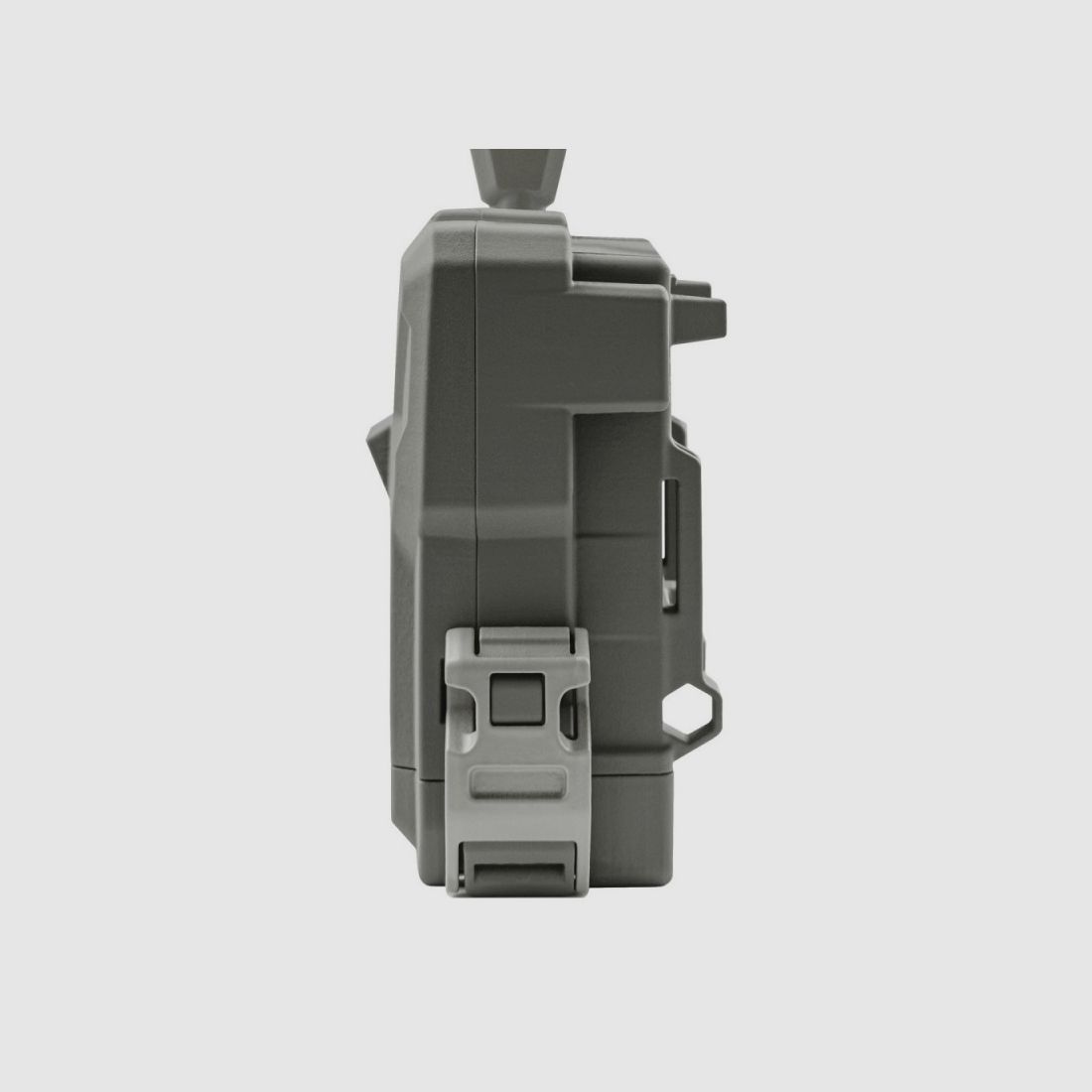Spypoint Flex, Bild 5 von 12
