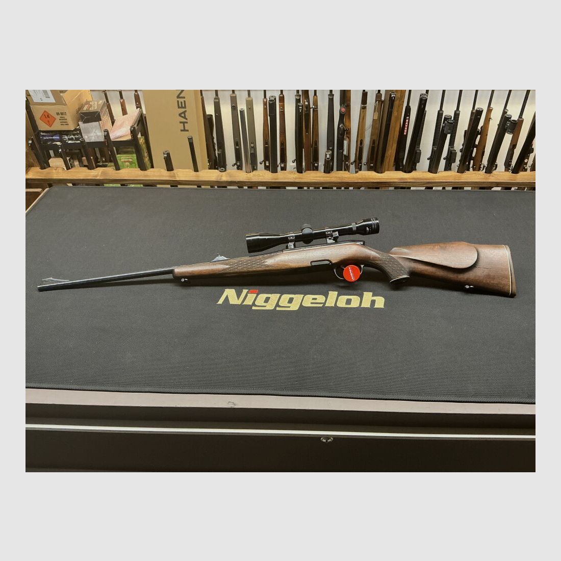 Steyr Without .243Win