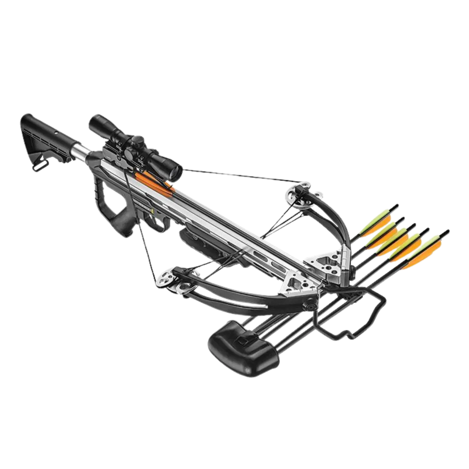 TORPEDO arbalète compound 185 lbs