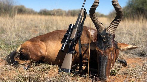 Otjere Wildlife: Auslandsjagd in Namibia