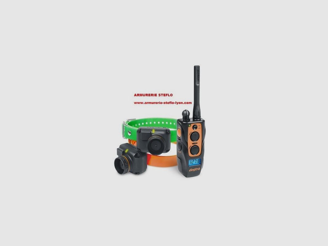 Dogtra 2602 T&B dressage + localisation, image 1 sur 4