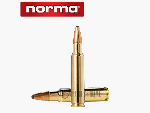 20 Munitions NORMA Cal 7.5x55 180gr Oryx