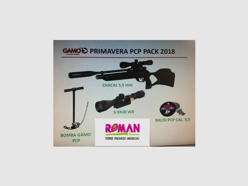 Carabina PCP Gamo Chacal – Calibro 5,5 mm – Pacchetto con mirino e pompa, immagine 2 di 2