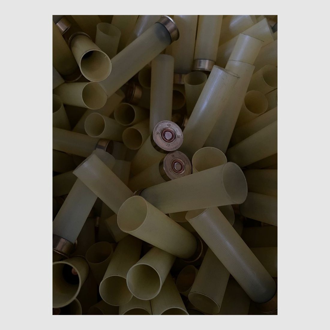 Fiocchi cal.20 t.1 h.67 615, image 1 sur 4