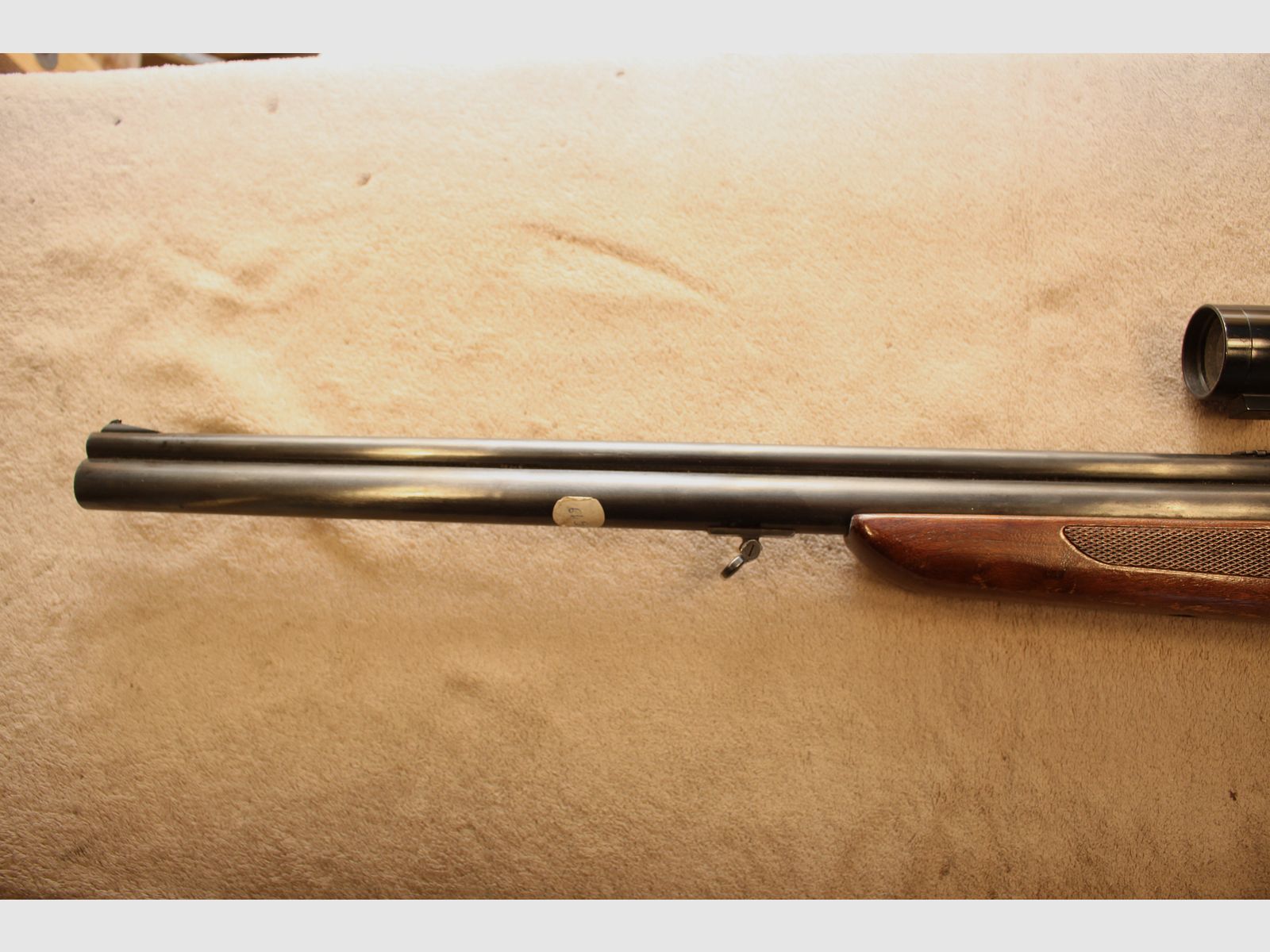 Sachonzeit BBF de Savage.