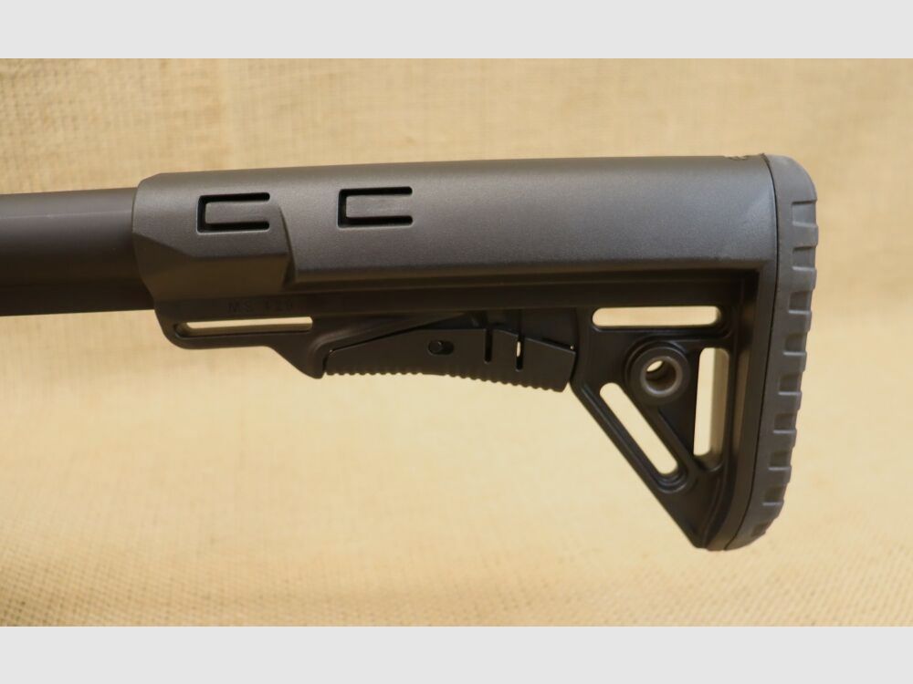 Fusil semi-automatique, Schmeisser AR15 Sport - y compris le chargeur de rechange .22lr