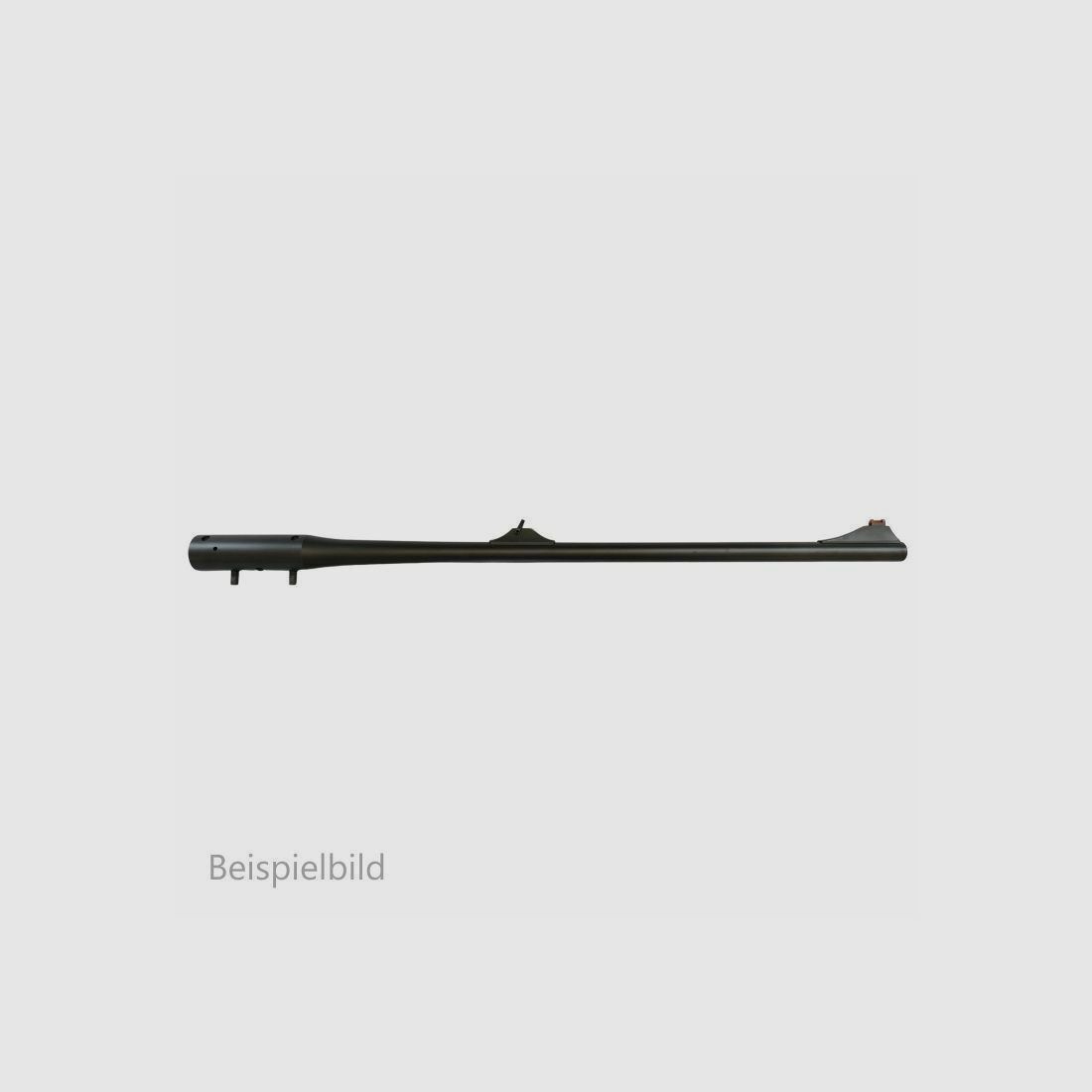 Blaser WL R8