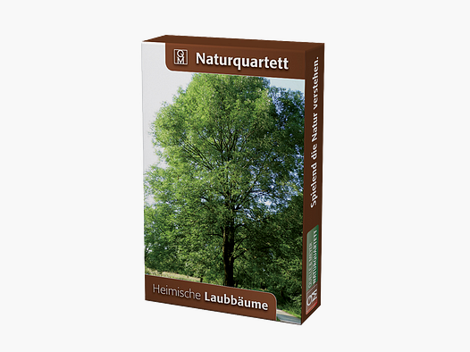 Naturquartett „Heimische Laubbäume“