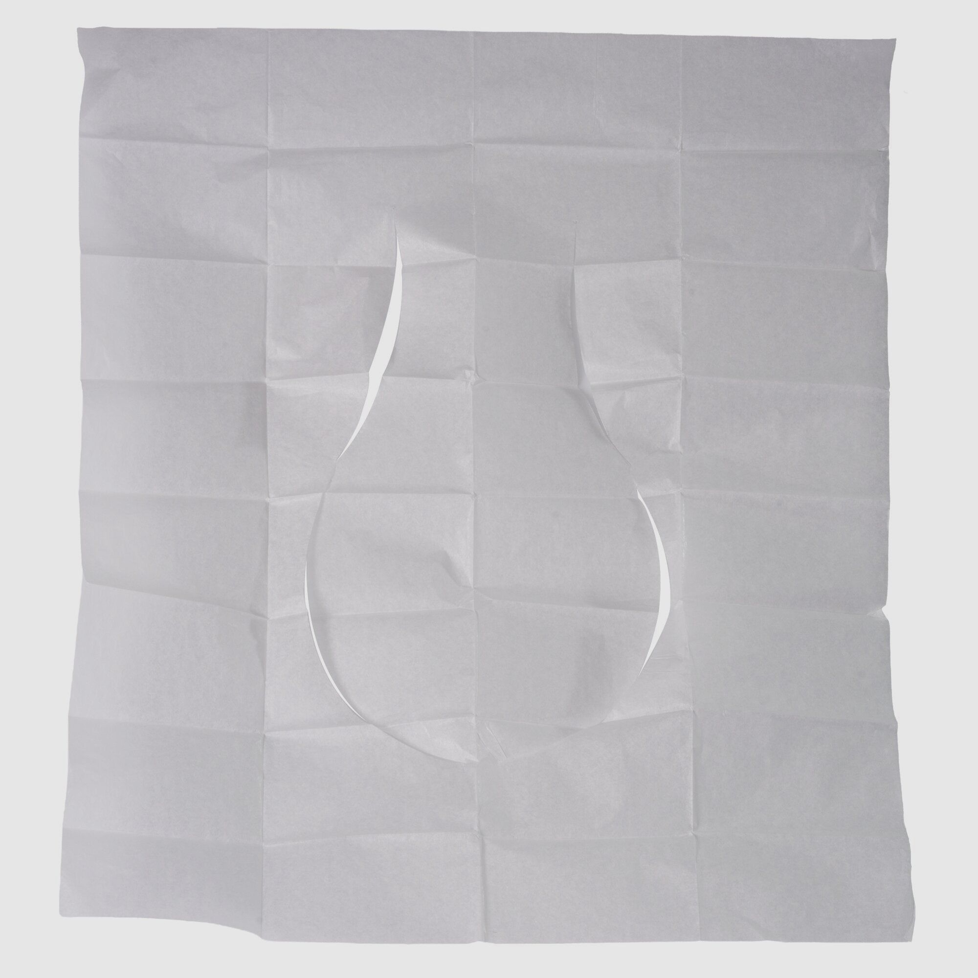 Copriwater (25 pezzi), immagine 1 di 6