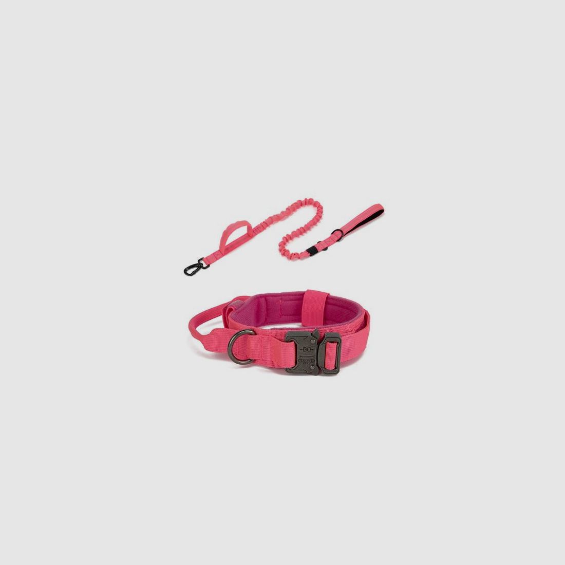 Wahl Taktische, ultra resistente Leine und Halsband für Hunde, Bild 33 von 37
