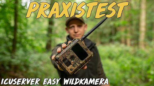 Praxistest - ICU Easy Wildkamera