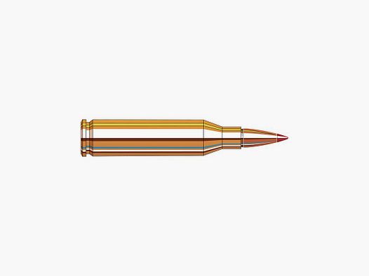 Hornady Patronen .243 Winchester 95 grains SST