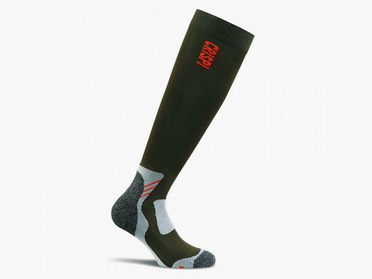 CRISPI Stock Sock Pathfinder
