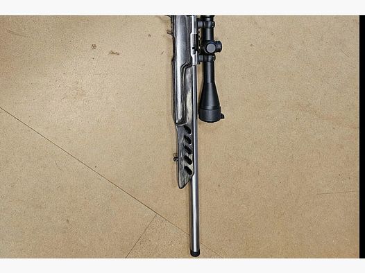 Ruger American Rimfire	 .22lr