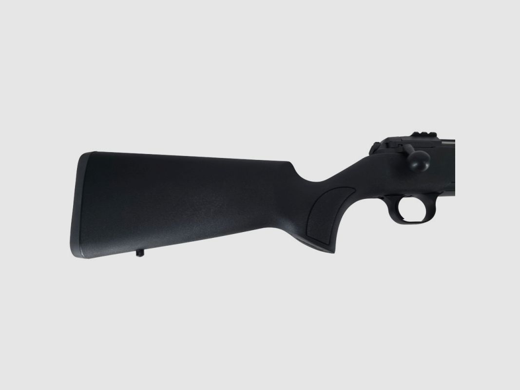 AE rifle de precisión sintético, imagen 3 de 7