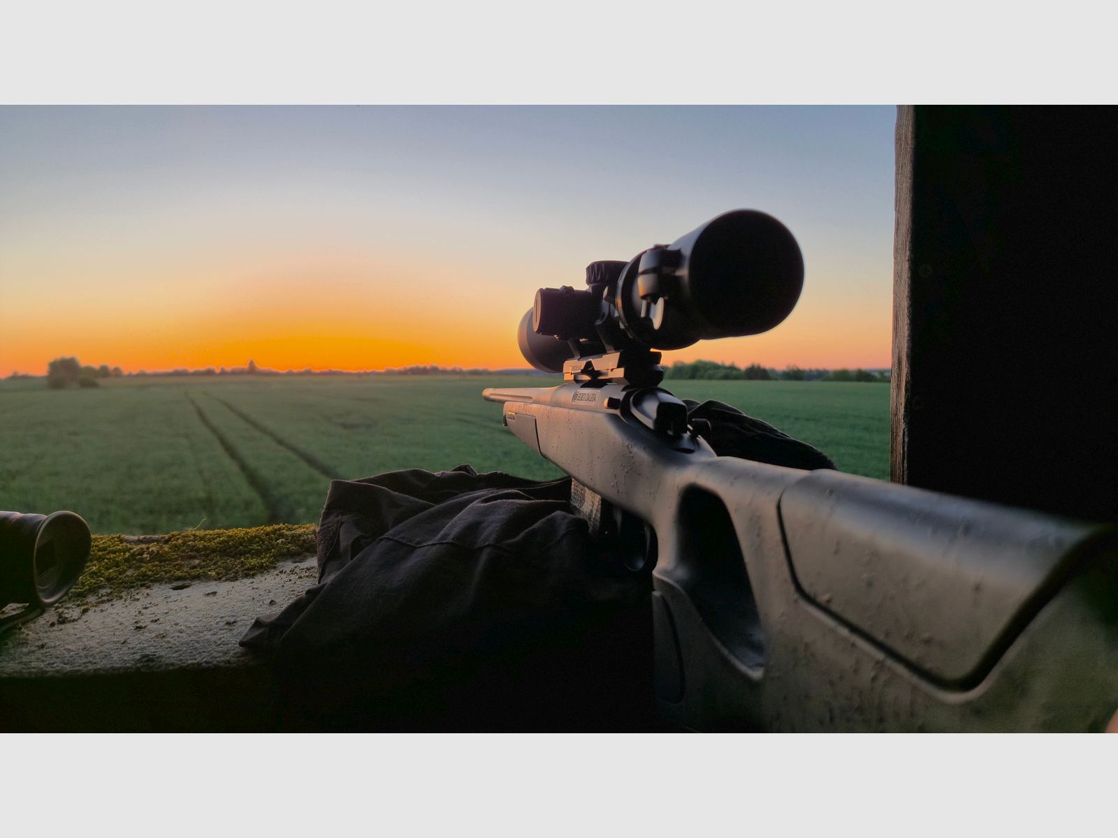 Bergara B14 Wilderness .308 Win | Meopta Optika6 3–18×56 RD | Liemke Luchs 25.1 | Set completo