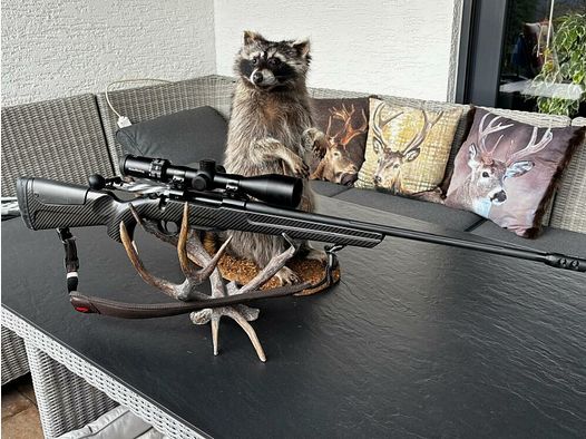 Sabatti Mercury Rover Carbon