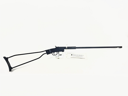 Chiappa Little Squirrel 24