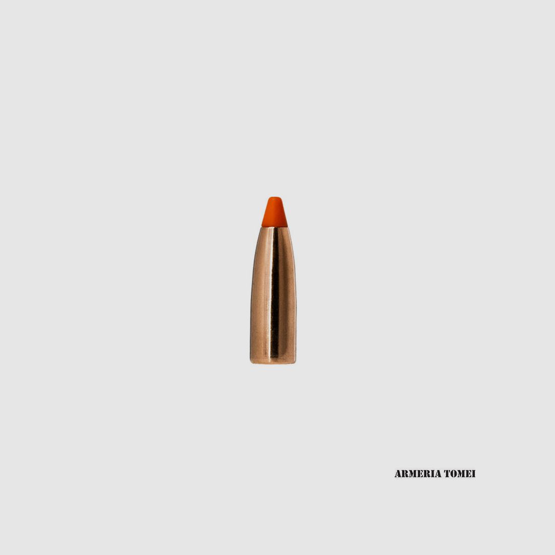 NORMA – BULLE – TIPSTRIKE VARMINT 5.7MM (.224) 55GR / 3.6G (100 PCS)