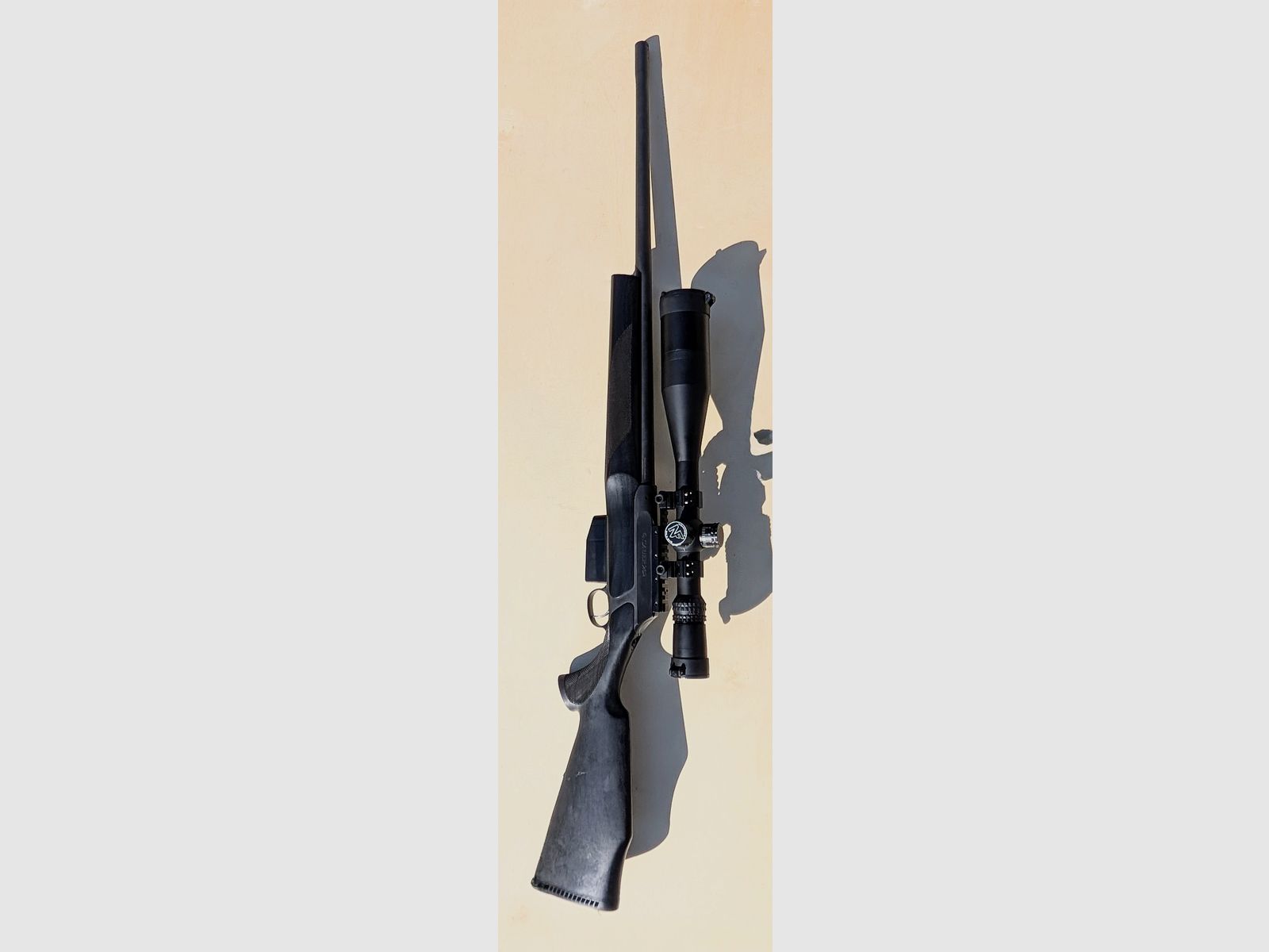 Sauer 202 