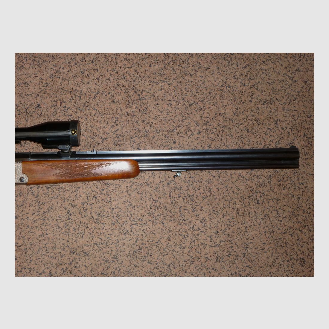 Blaser ES70
