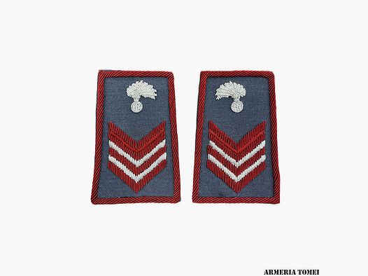 CARABINIERI – TUBULAR APPOINTED SELECTED EMBROIDERED IN CANVAS
