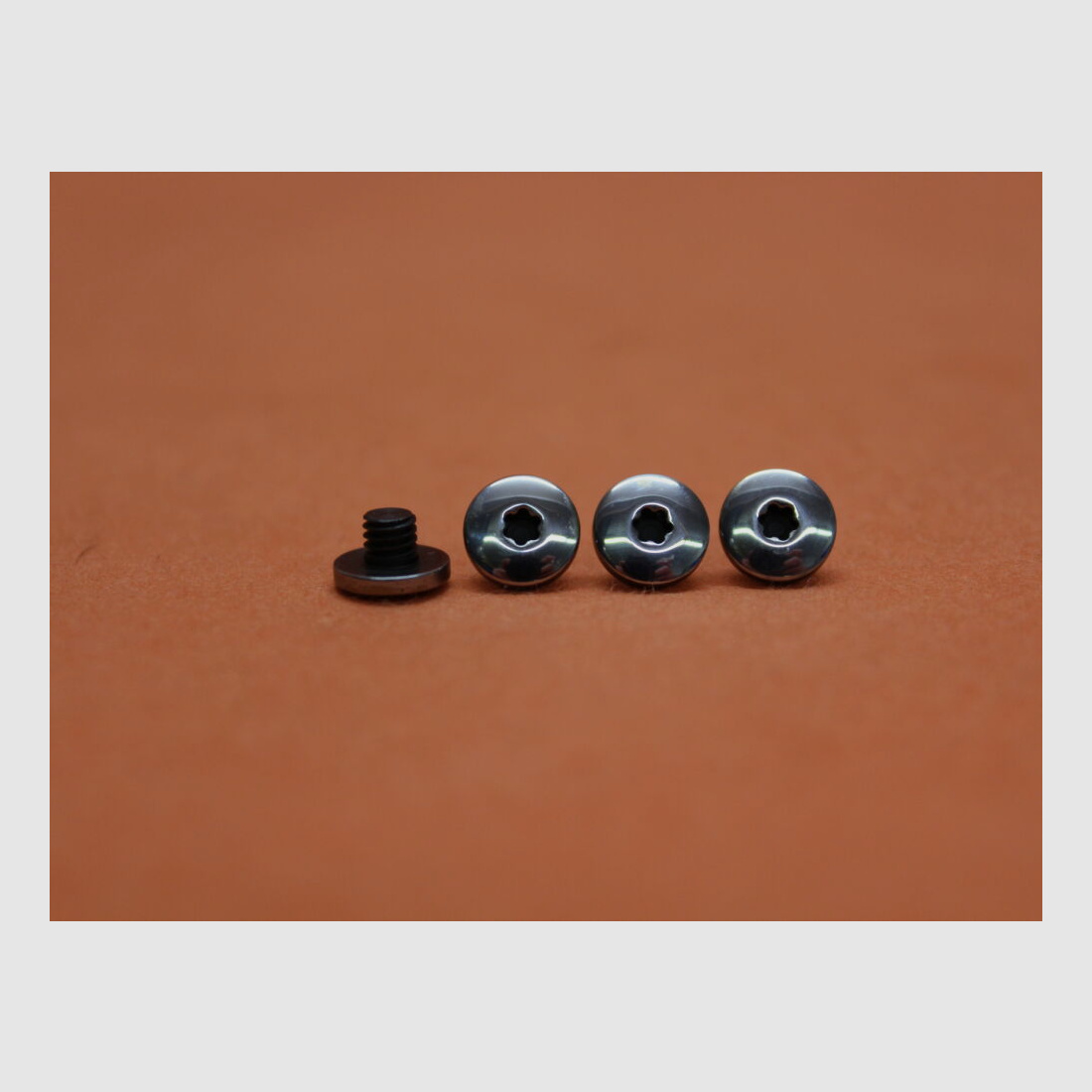 SIG Sauer SIG Sauer X-LINE: 4 stuks gripplaat schroef Torx gepolijst (70001210)